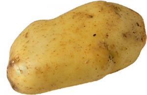 potatoes_777_20080430102127_525